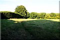 Footpath across the field