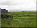 Leveroge Townland