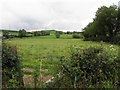 Craignasasonagh Townland