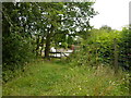 Footpath, a bit overgrown, and phone box