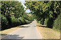 Wood lane looking towards the fruit farm