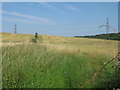 Footpath to Charmwood Farm