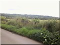 Footpath leaves road