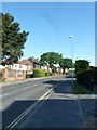 Lamppost in Gudge Heath Lane