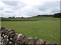 Pastures and dry stone walls next to A689