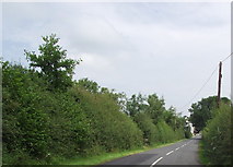 SD5739 : Horns Lane, Goosnargh by philandju