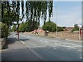 Bus stops on Walton Lane