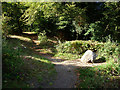 Stone at the top of the Zig Zag path