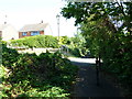 Lamppost on the footpath from West Street to Coach Hill