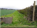 Footpath, Carkin Fields