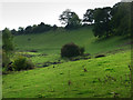 Tributary valley of the Oakhanger Stream