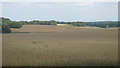 Fields near Bogey Lane