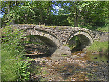 SD9339 : Wycoller Pack Horse Bridge by David Dixon