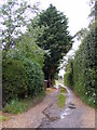 Footpath to Chediston Church & the B1123 Chediston Street