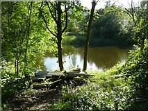 SE0026 : Fishing pond off Roger Gate, Mytholmroyd by Humphrey Bolton