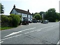 Badgers on the A285