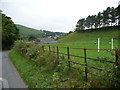 Sheep graze near Cheriton village