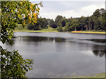 SE2769 : The Lake, Studley Royal Water Garden by David Dixon