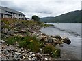 Wild flowers on the shore, Fort William