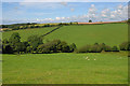 Fields north west of New Cross