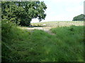 Path junction with the A272 near Tillington