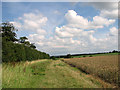 Field margin south of Egmere Cottages, Egmere