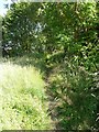 Hebden Royd Footpath 44 near Calder Brook, Mytholmroyd