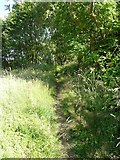 SE0026 : Hebden Royd Footpath 44 near Calder Brook, Mytholmroyd by Humphrey Bolton