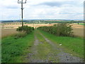 Farm track running west near Whitehall Farm