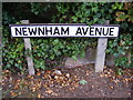 Newnham Avenue sign