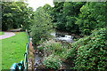 Weir on the River Frome