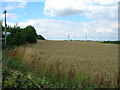 Farmland near Wootton