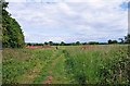 Field by Orchard Close, Claverley