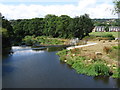 Wadsley Bridge - Niagara Weir