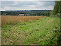 Crop field off Slugwash Lane