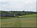 Footpath to railway foot crossing