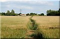 Stones Farm, Wickham St Paul.