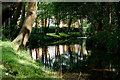 River Wandle at Hackbridge