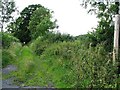 Footpath opposite the road to North Cadbury