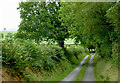 Narrow lane north of Stags Head, Ceredigion