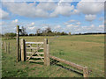 Footpath from Icklingham