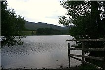 NH8609 : Loch Alvie by Andrew Wood