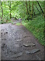 Former tramroad sleeper blocks in path beside the Nedd Fechan