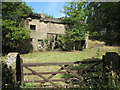 Ruined farmstead