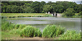 Wishing Tree Reservoir