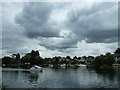 Walk along the Thames from Runnymede to Old Windsor (54)