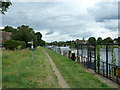 Walk along the Thames from Runnymede to Old Windsor (56)