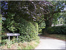 TM2348 : Footpath to Lodge Road & Orchard Lane by Geographer
