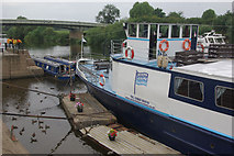 SO8540 : River Severn, Upton upon Severn by Stephen McKay