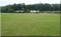 Cilycwm Road field, Llandovery